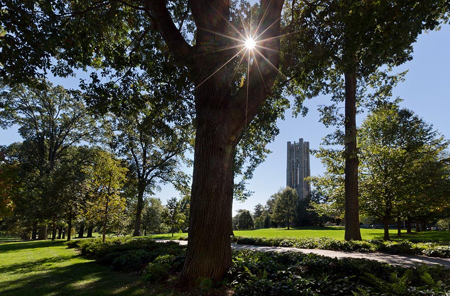 Watch the sun set over campus.