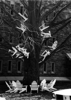 Adirondack chairs in a tree outside Parrish Hall