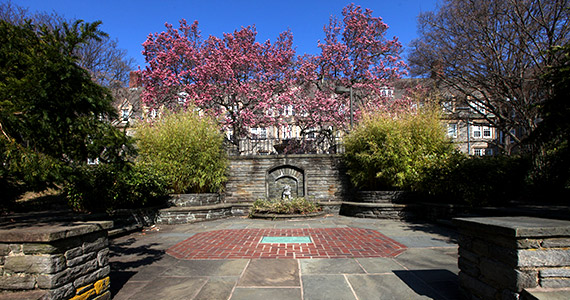 swarthmore college